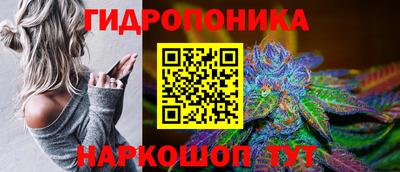 гашик Старая Купавна