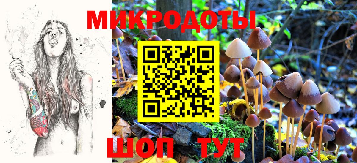 Галлюциногенные грибы прущие грибы Заречный