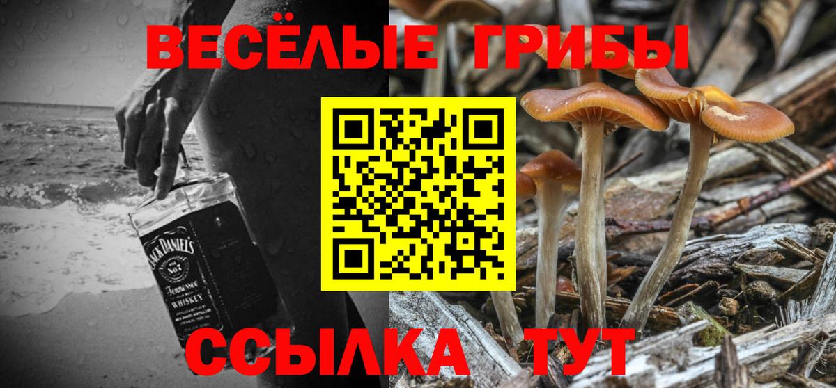 Галлюциногенные грибы Psilocybine cubensis  Галлюциногенные грибы мухоморы  Заречный  Вход с VPN 